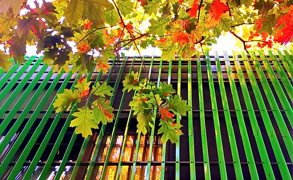 Green Cube Capsule Hostel