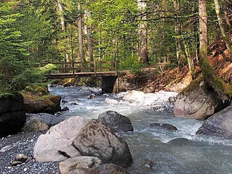 Double Room with Mountain View
