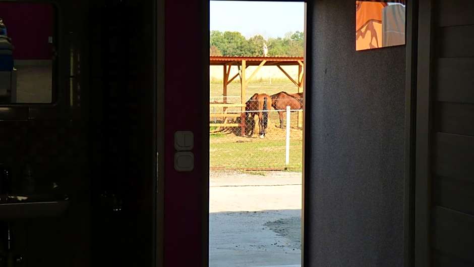 Agroturystyka Klekusiowo