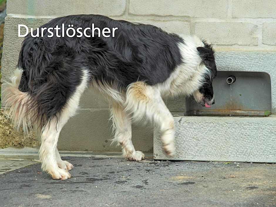 Kartause Ittingen