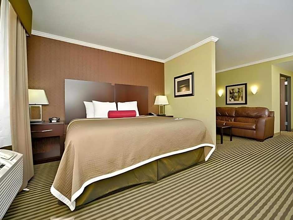 Best Western Plus Olathe Hotel & Suites