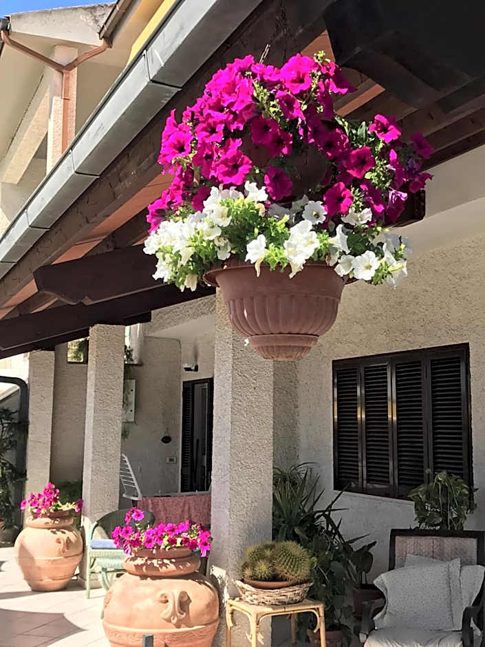 Hotel B&B Rispescia Grosseto