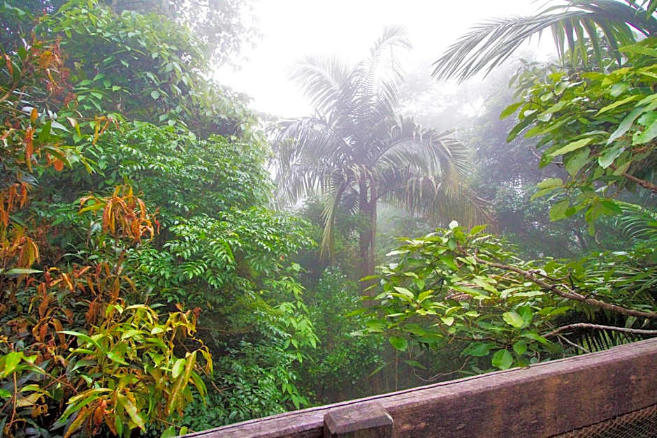 Mt Glorious Getaways