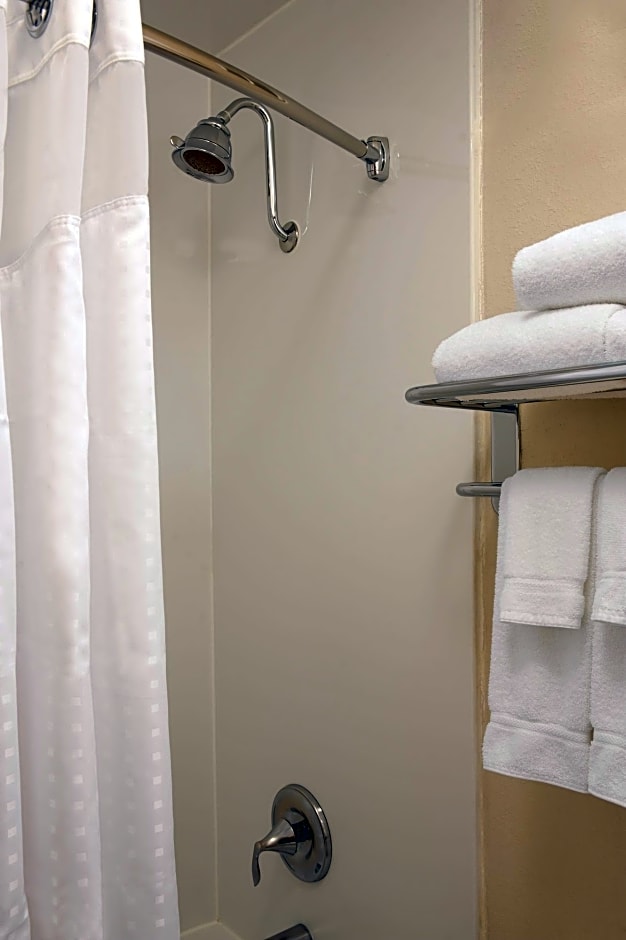 Holiday Inn Chicago West - Itasca