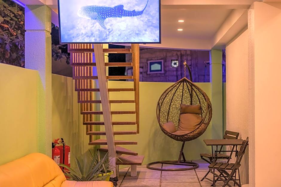 Turtle Maldives - Your Gateway to the Beach & Marine Adventures Await!