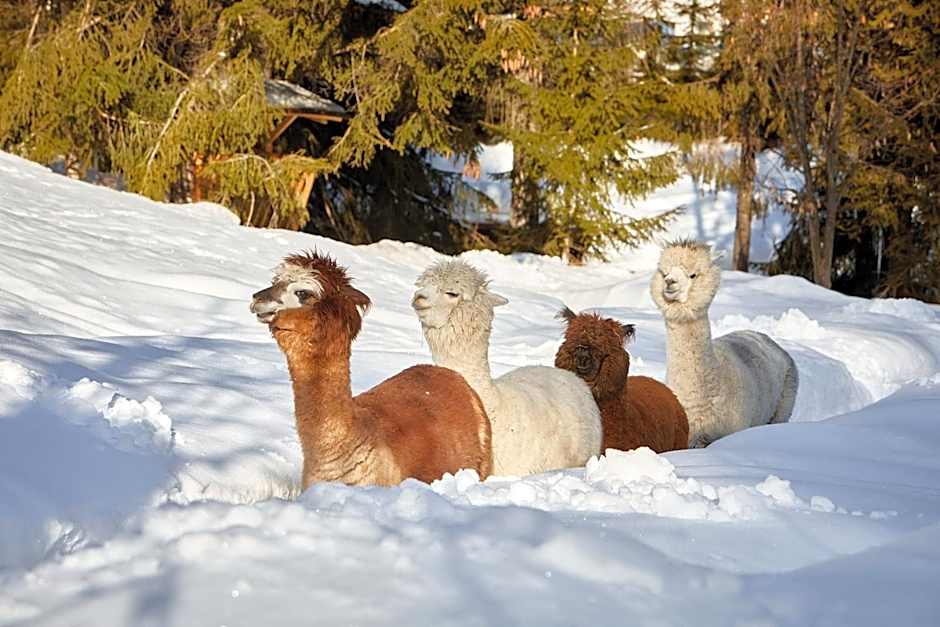 Appartamenti La Sajun & Les Viles