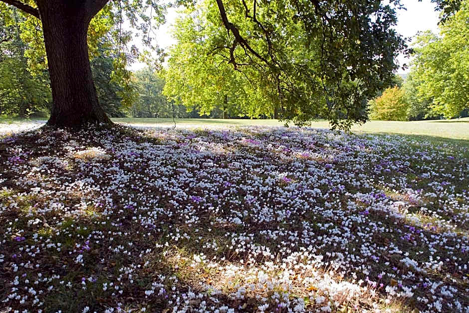Domaine de la Tortinière