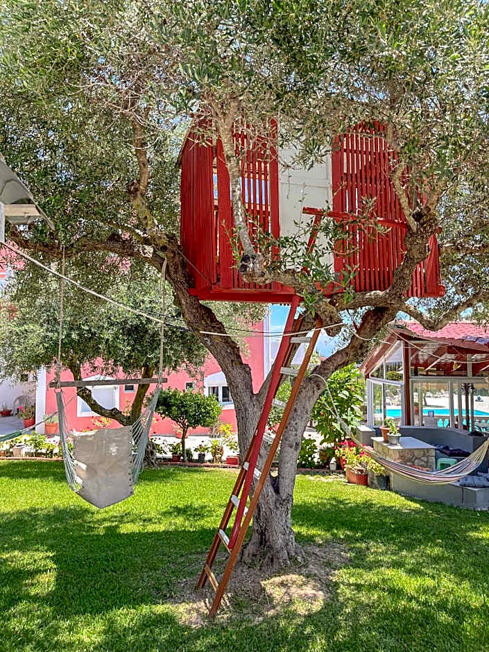 Amazona Apartments and Studios