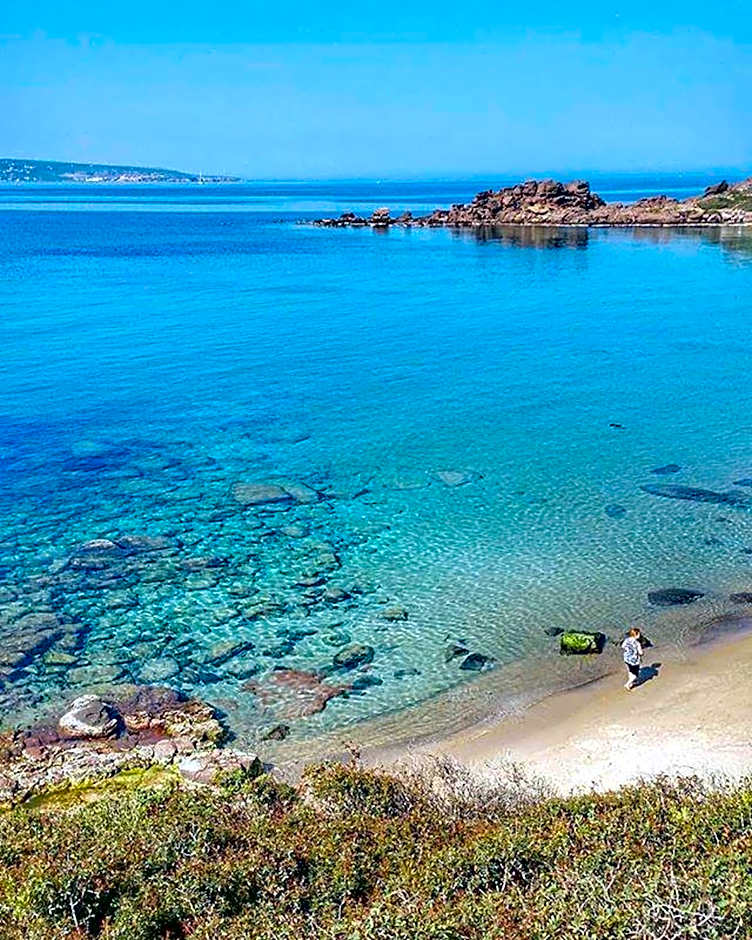 B&B L'Albero Dei Limoni