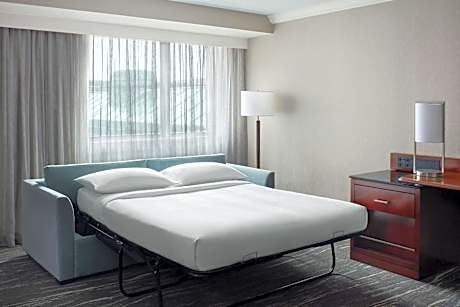 One-Bedroom King Suite