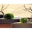 Richmond Hotel Premier Tokyo Oshiage - Vacation STAY 38414v