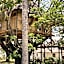 Antonio Beach Tree House Hotel & Spa