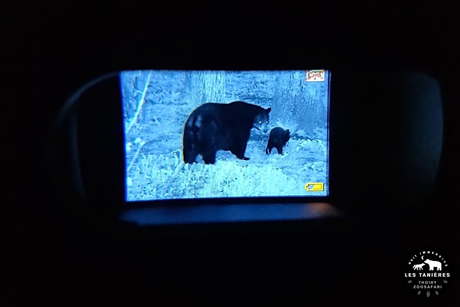 Les Tanières du ZooSafari de Thoiry