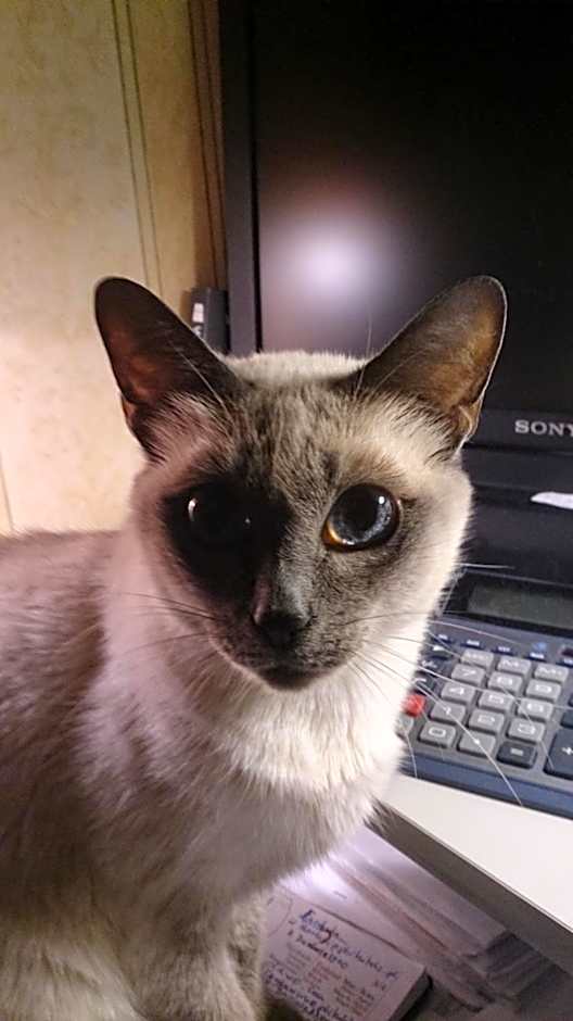 Babka Wieżowiec Noclegi