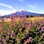 Shoji Mount Hotel - Vacation STAY 83035v