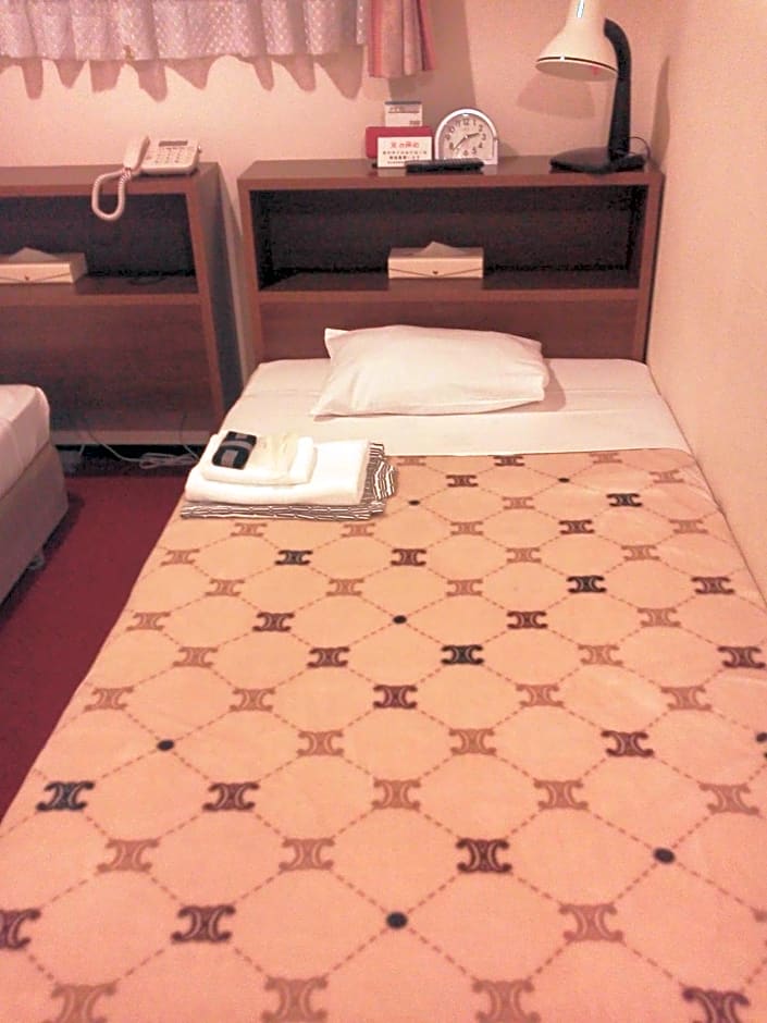 Hotel Yanagibasi
