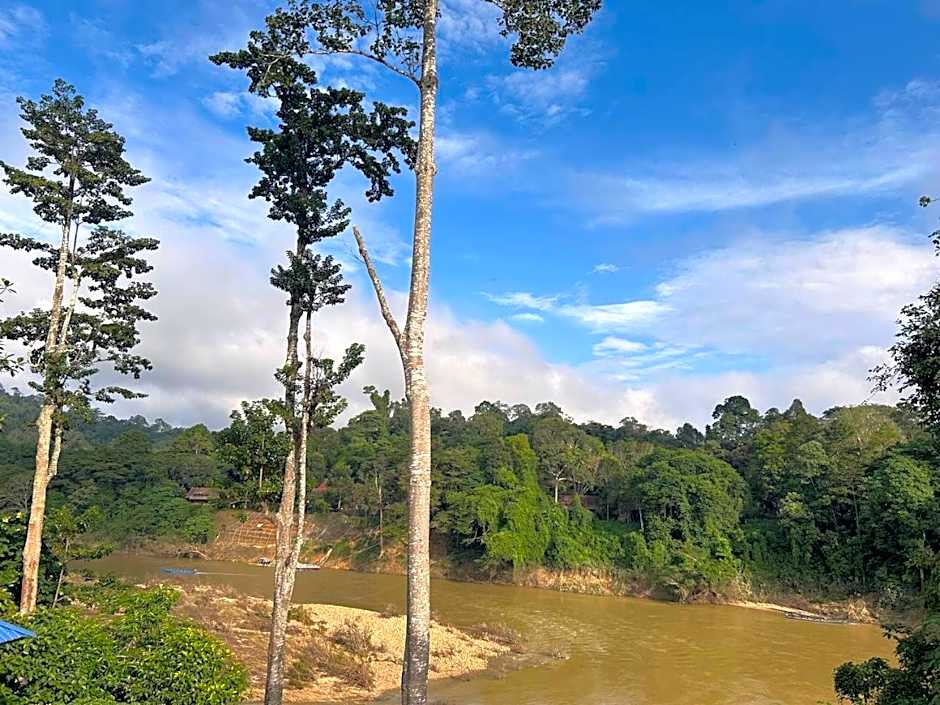 Taman Negara River View Lodge