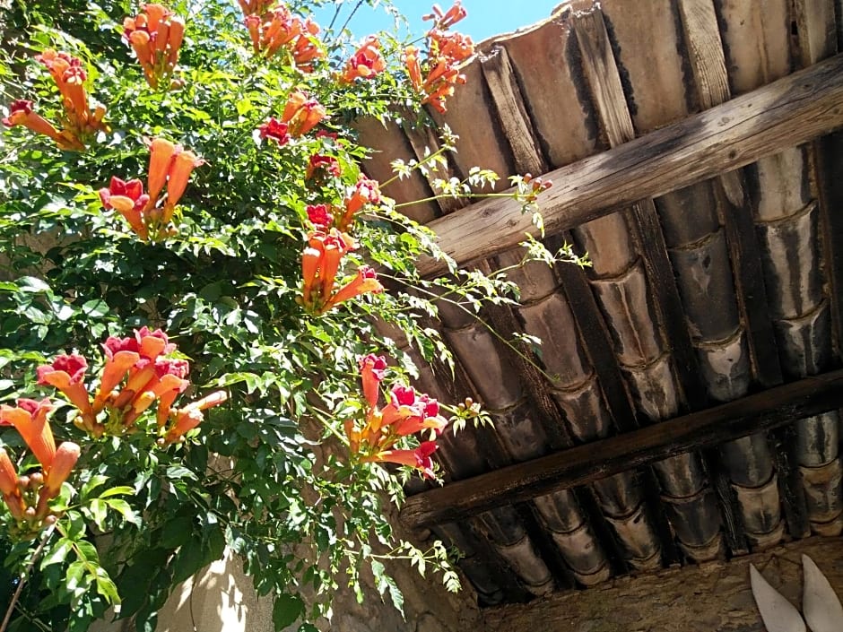 La Maison des Palmiers