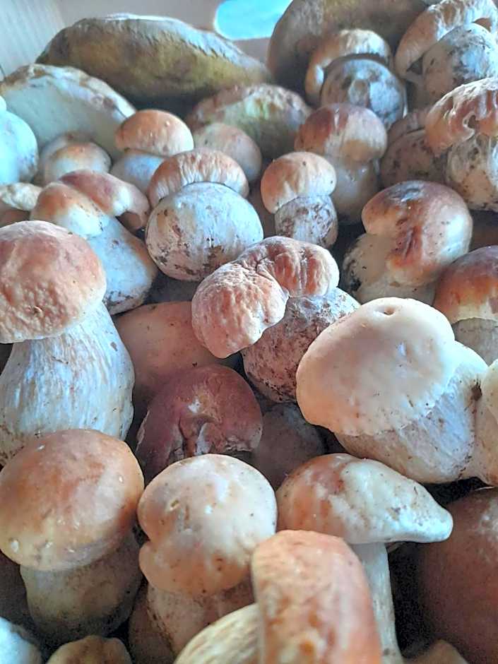 Hotel Ristorante La Baitina