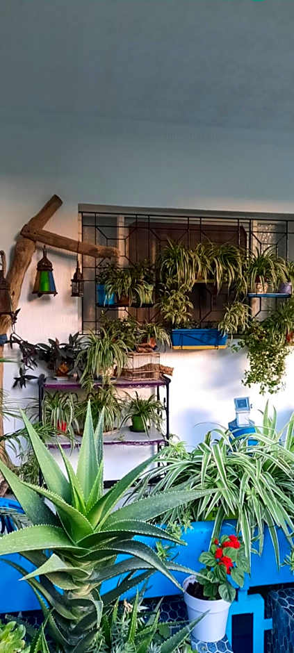 MAISON D HÔTES Marine KSAR SGHIR