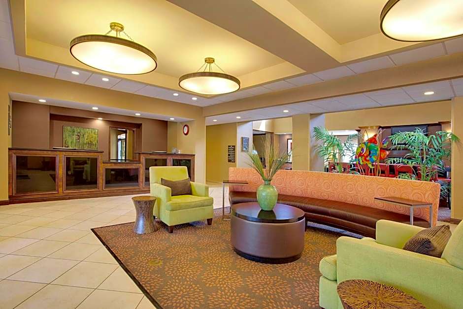 Homewood Suites By Hilton Tampa Brandon