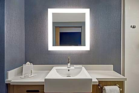 Suite, 1 King, Sofa bed