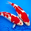 Hotel New Otani Nagaoka