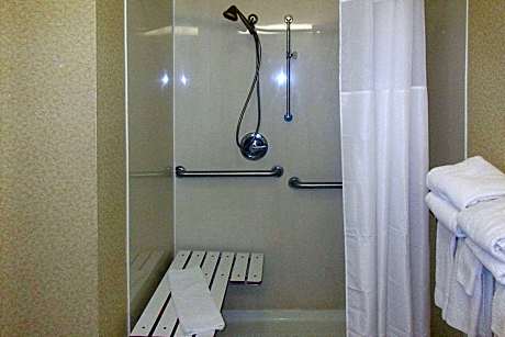 1 King Bed Walk-In Shower Non-Smoking
