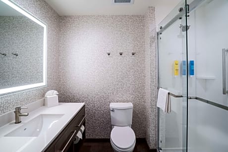 1 King Bed Studio Suite Nonsmoking