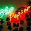 Blue Pepper Hostel Chapultepec