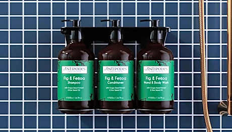 Standard Double Room with Two Double Beds