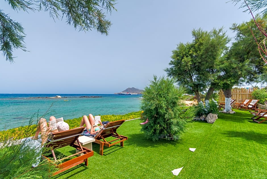 Niki Savvas Rooms & Studios