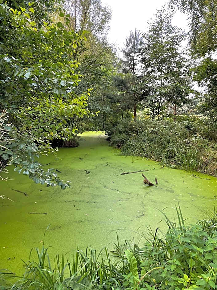 Agroturystyka Zacisze Guciów