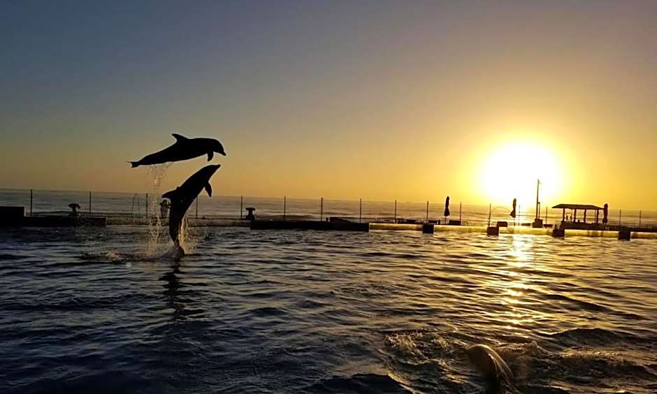 Holiday Inn Express & Suites Palm Coast - I-95