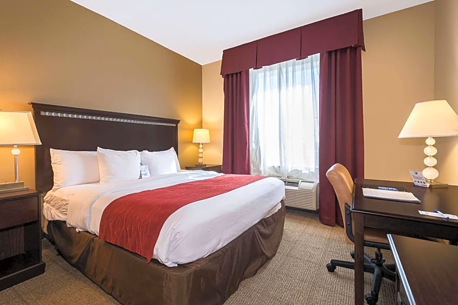 Comfort Inn & Suites Maingate South
