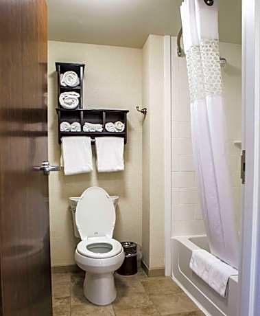 1 KING HEARING ACCESS STUDIO W/SOFABED NS