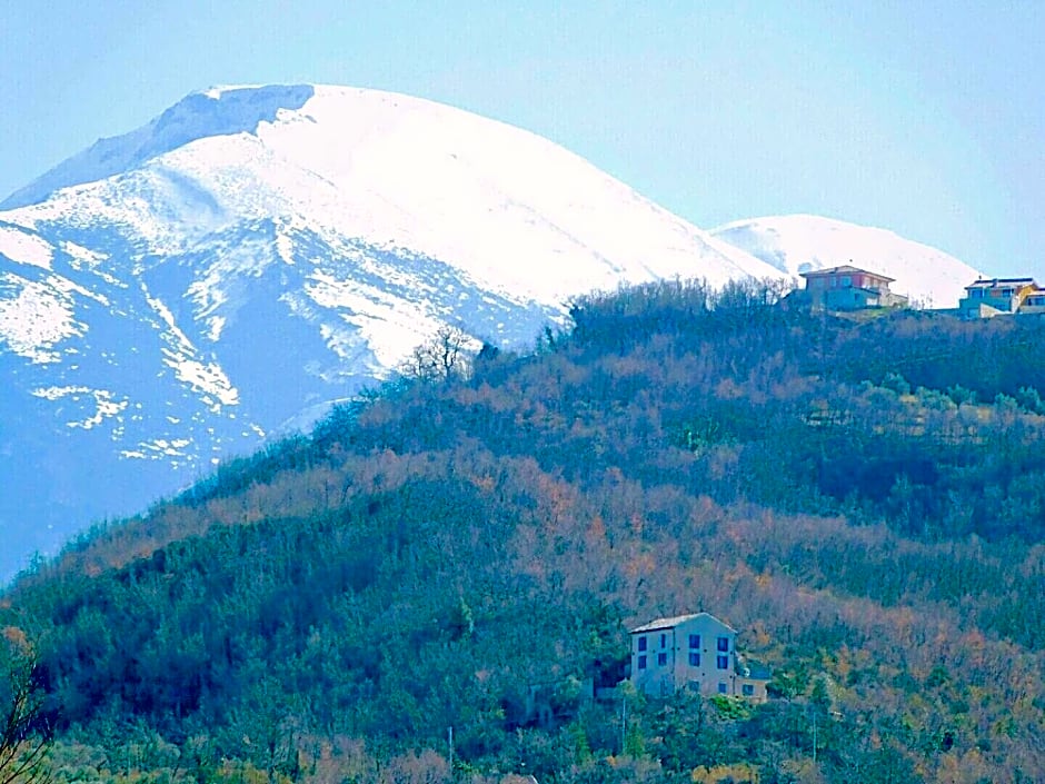 La casa dalle finestre blu