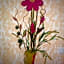 Hotel Rural Los Perales