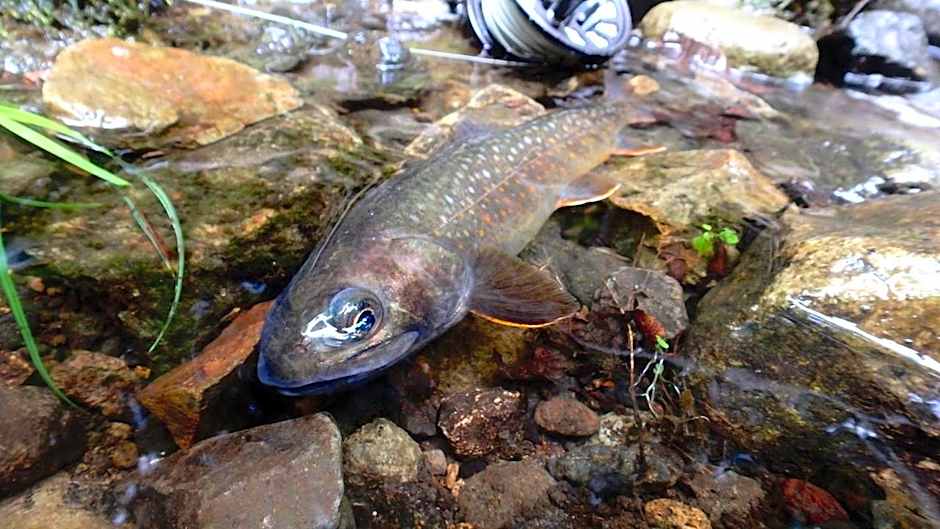 Oirase Guest house KEIGETSU