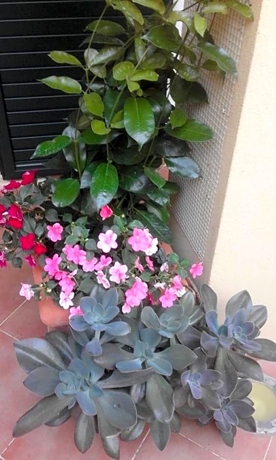 B&B La Dimora Di Alfonso