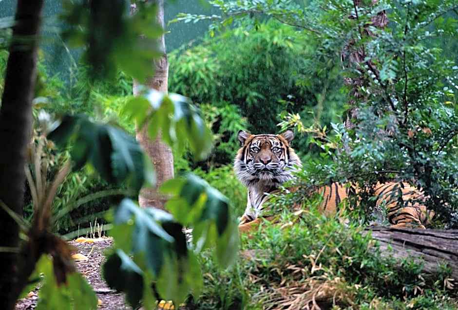 Adelaide Caravan Park - Aspen Holiday Parks