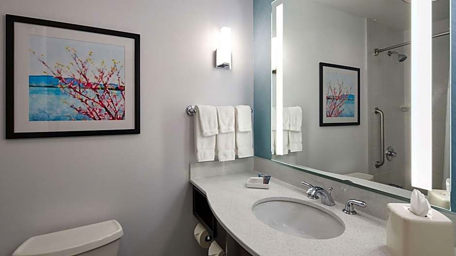 Hilton Garden Inn Merrillville