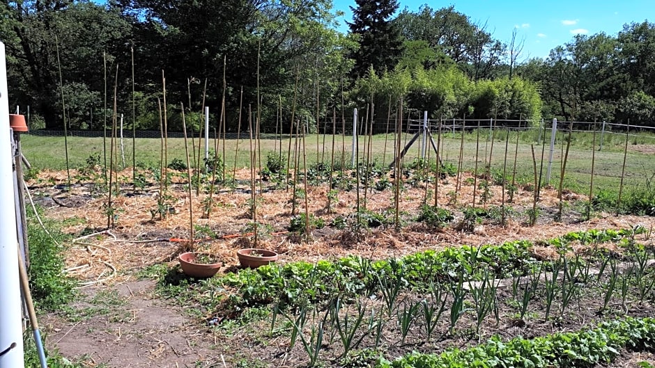 Villa du Cerf Thibault