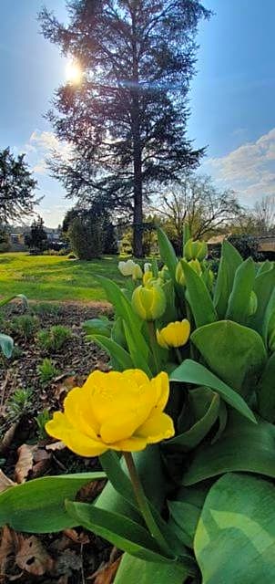 Chambres d'Hôtes des Rouets