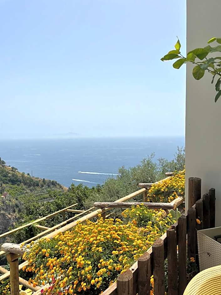 Fico D'India Relais