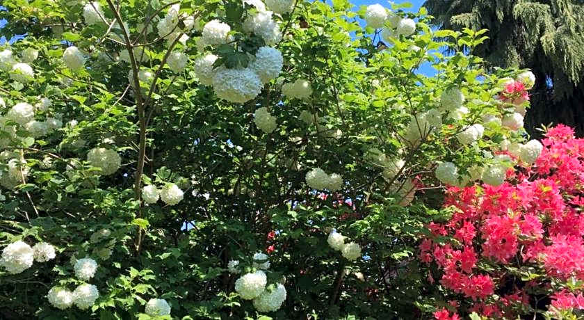 Les jardins de Beaumont