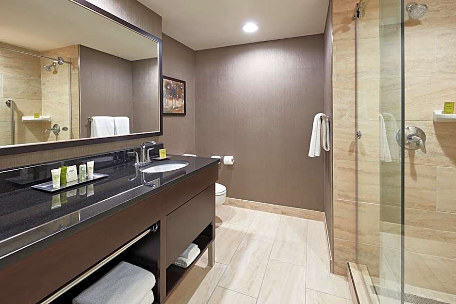 Hilton Houston Plaza/Medical Center