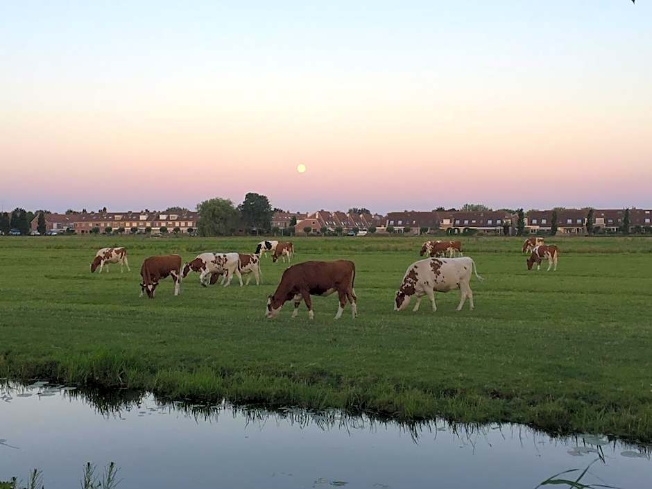 B&B-Edam