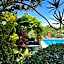 Casa Terranova