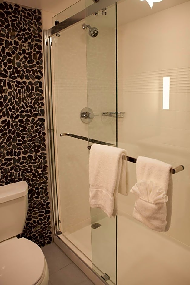 Hilton Garden Inn Springfield